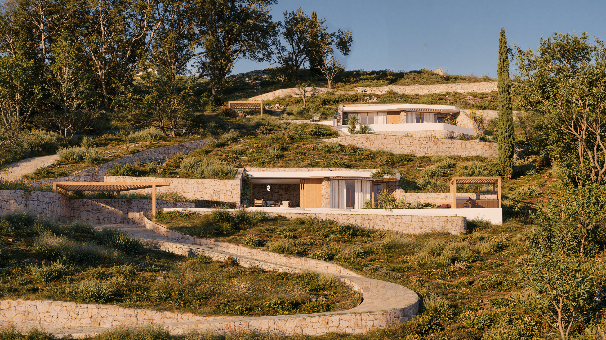 katechis and partners